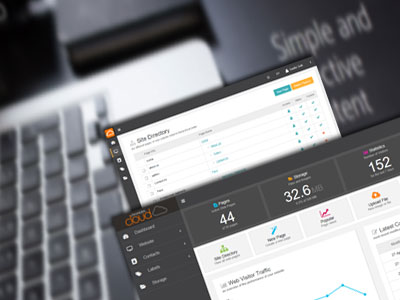 Software as a Service